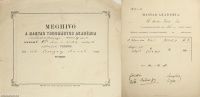 A Magyar Tudományos Akadémia által kiállított meghívó/A Magyar Tudományos Akadémia által kiutalt tiszteletdíjról kiállított hivatalos okirat (Arany János által kitöltött hivatalos dokumentumok.)