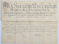 Bába-diploma. A szegedi bába-képezde magyar nyelvű pergamen diplomája Keipert Seene Katalina nevére kiállítva, 1892-ból.